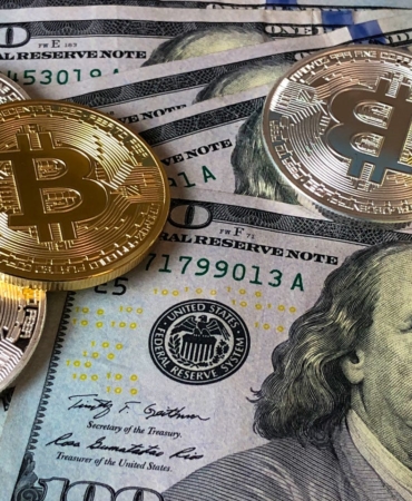 pexels-davidmcbee-730547